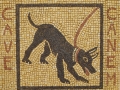 Cave Canem